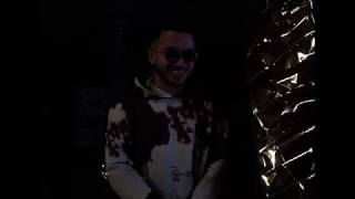 Faux frères Music Video