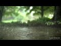 Asan Shajiii Music Mode