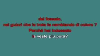 Ophelia   Nomadi [karaoke]