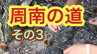 周南の道を行く その3 山口県 唐揚げ 道の駅