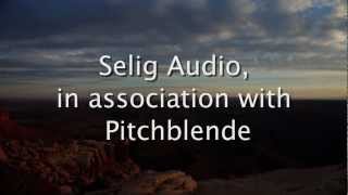 Video thumbnail for Announcing: the Selig Leveler, from Selig Audio by SeligAudio
