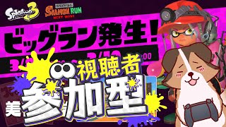 【参加型】ビッグランでシャケたちしばき回していくかぁ🐶🌟負け犬系Vtuber配信【スプラトゥーン3】【サーモンランNW】