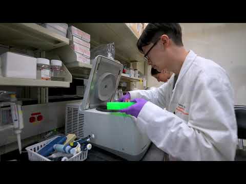 Improving Immunce Cell Therapies with Graduate Student Xuebing Leng