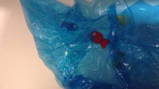 English Communicative Piece: "Packed Like Sardines"