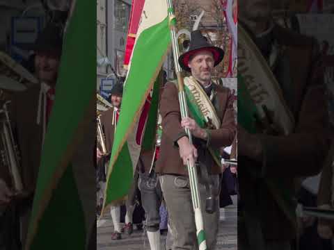 🍇 2025 - Meraner Traubenfest Umzug | Sfilata della Festa dell'Uva di Merano | Meran Grape Festival