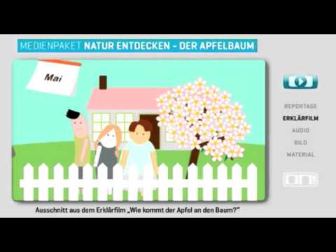 Schulfilm-DVD: Interakives Medienpaket - Der Apfelbaum (DVD / Vorschau)