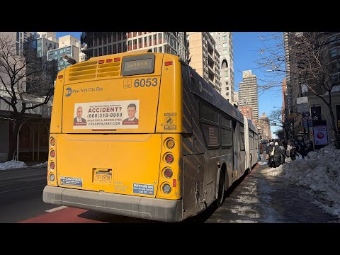 M101 Bus Route