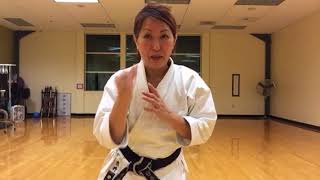 Front Snap Kick Training Tips for Beginners