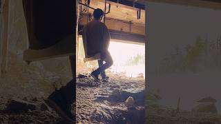 Grandfather Falls ticking away like the clock of time 💫 #wisconsin #iceagetrail #nature #shortfilm