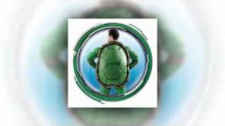 Teenage Mutant Ninja Turtle  Adult Fancy Dress Costume