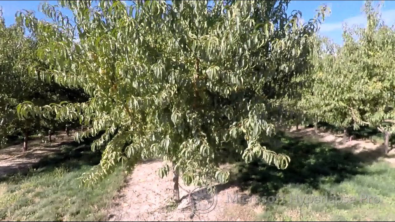 Video: GOPR5666 hyperlapse 2x adv