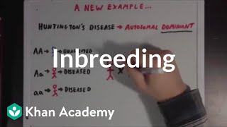 Inbreeding | Biomolecules | MCAT | Khan Academy