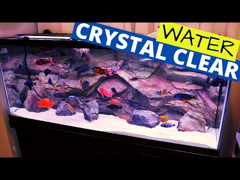 Crystal Clear Aquarium Water - Get It and Keep It (Simple)