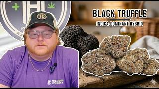 Black Truffle Strain Breakdown: Earthy Delight or Hypnotic Intoxication