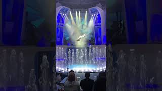 #shorts Royal Caribbean Icon of the Seas AquaTheater AquaDome Water Show Aqua Action! Flying Wire