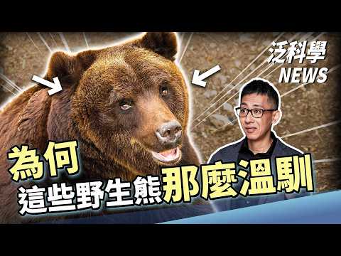 顛覆！大腦神經元能復原？太空的衛星容量已經快滿了！【泛科學NEWS EP39】