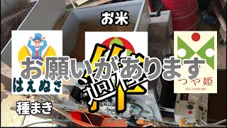 お米の種まきとお願い🌾