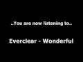 Everclear - Wonderful 