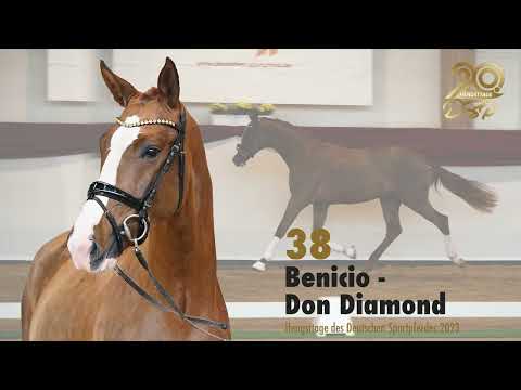 38 Benicio Don Diamond