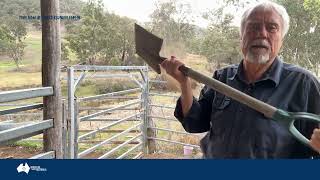 NSW Gun Buy Back: A National Concern