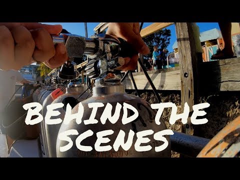 Scuba Diving Key Largo Florida | Go Reef Diving Today With Rainbow Reef A Look Behind The Scenes