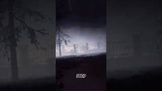 We Weren't Alone In The Fog 😨 #shorts #scary