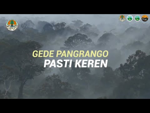 Thumbnail Ucapan Hari Ulang Tahun Gepang ke 43