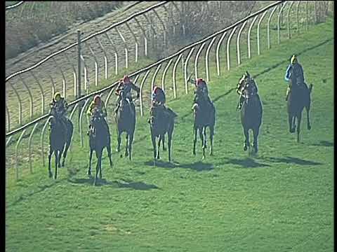 Galoppo 20/01/2018 - 5ª corsa