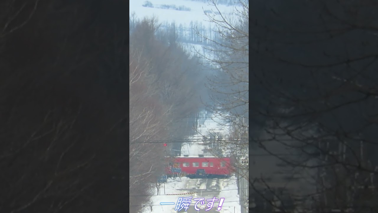 キハ40 根室本線 学校通り踏切通過 2018年  #鉄道 #JR北海道 #Shorts