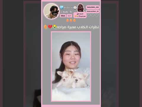 ف/اكتب كلب وخلي الكيبورد يكمل🗿🥚#blackpink #اكسبلور #ترند #Bishr #fypシ #دعم #اكستيز #shorts