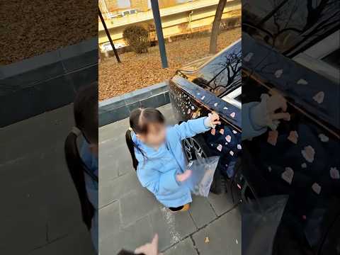 She put stickers all around the rolls Royce but didn't know it was so expensive