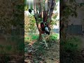 Phir Mujhe Dil Se Pukar Tu