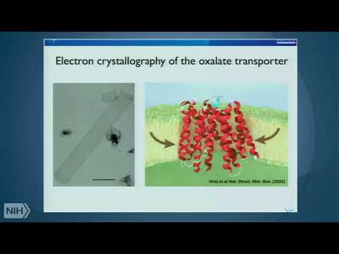 The cryo-EM revolution