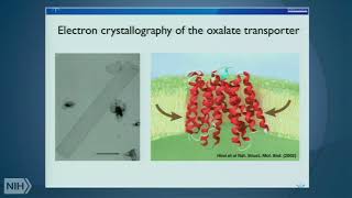 The cryo-EM revolution