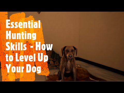 Essential Hunting Skills (Ep:1) - How to Level Up Your Dog - Hunting Simulator 2
