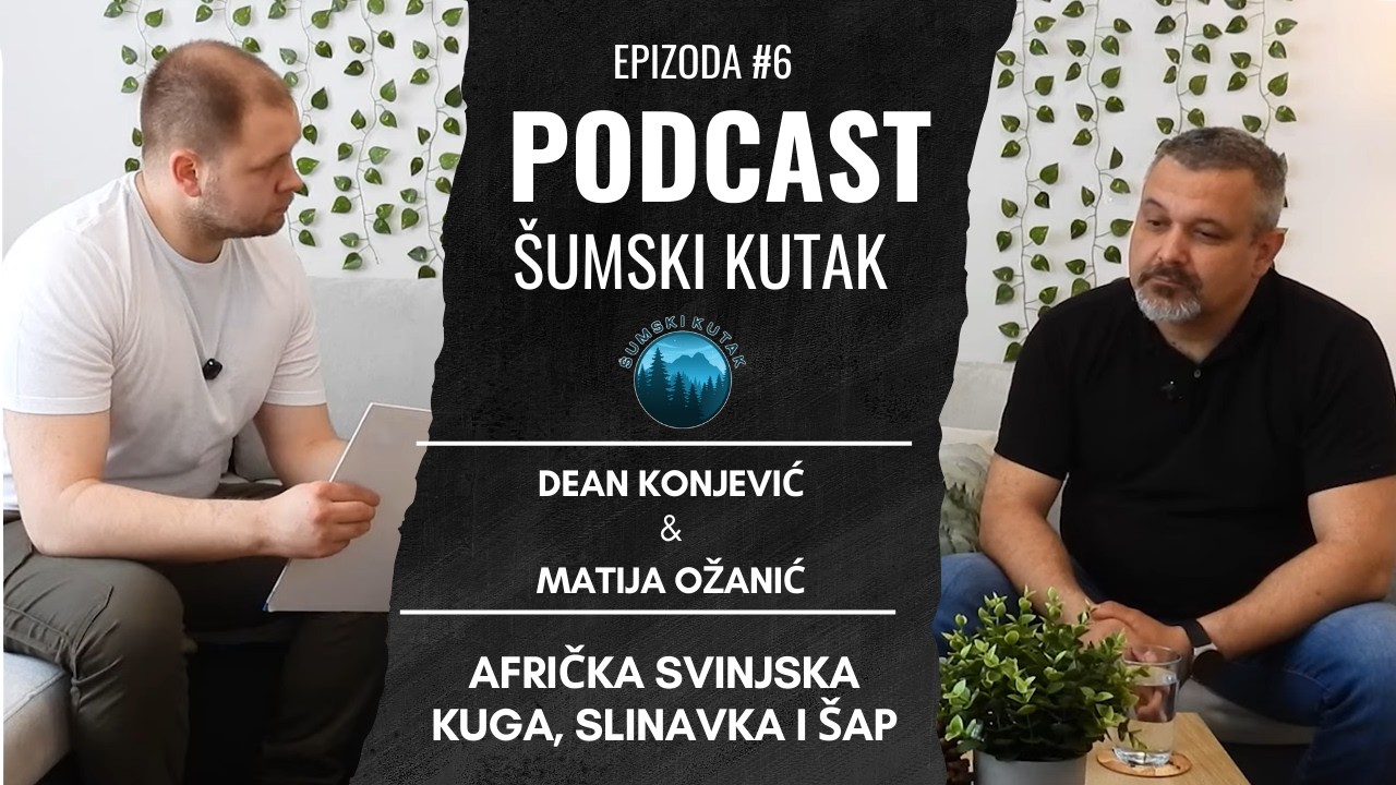 Podcast Šumski kutak---- Afrička svinjska kuga, Slinavka i Šap (Dean Konjević)