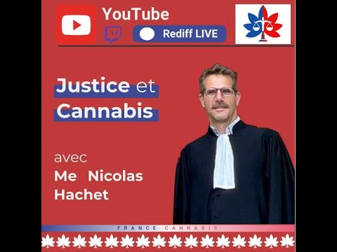 Justice et Cannabis - Maître Nicolas Hachet