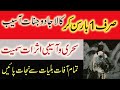 Jadu Jinnat Ko Khatam Karne Ka Dam Jadu Jinnat Aur Asaib Se Nijat Ka Wazifa