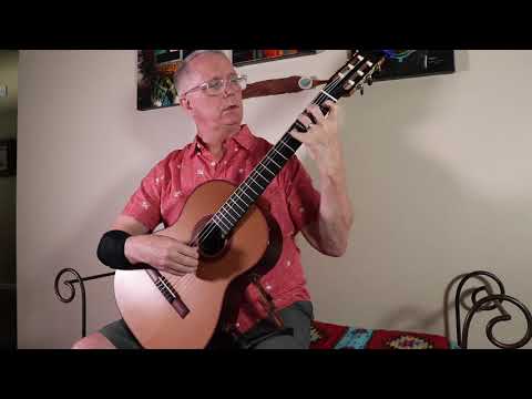 Duane Waterman Custom Concert Guitar 2013 Western Cedar image 10