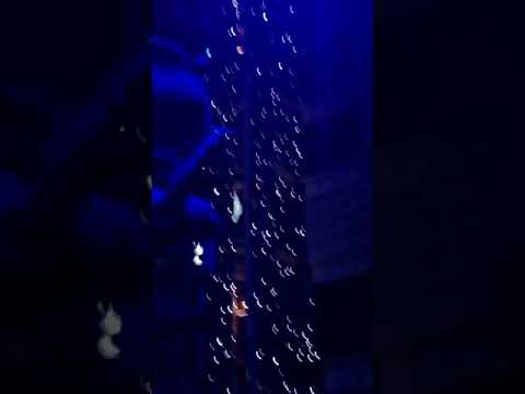 Vasco Bari 17/06/2018