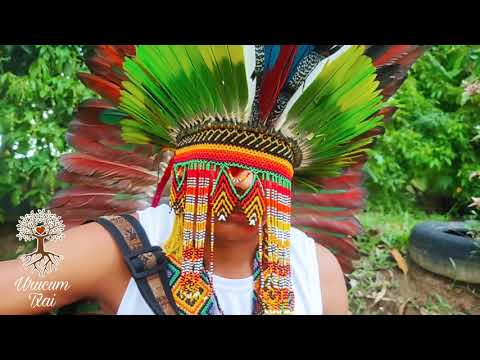 🍃✨Txana Bisku-Aldeia Chico Kurumin - Grupo Kayatebu-haw dau teboya - Medicina songs-Música de Rezo✨🍃