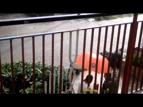 Ennesimo allagamento su via delle Terme tra Castelforte e Suio **18 giugno 2014