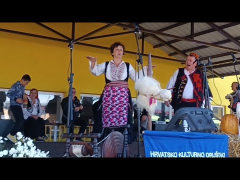 Neprave se dica na ribi i blitvi Dalmatinac u Bosni Krčavine -Vitez-2023