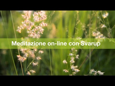 Meditazione on-line con Svarup