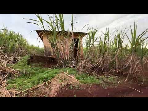 Chegando no campo do cordeirinho em Itambaracá Pr 