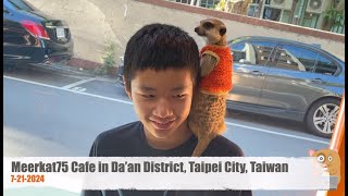 Meerkat75 Cafe in Da'an District, Taipei City, Taiwan
