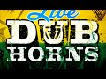 Rankin Audio Live Dub Horns - Reggae Brass Samples Dub Horn Loops Part 1