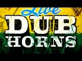 Rankin Audio Live Dub Horns - Reggae Brass Samples Dub Horn Loops Part 2