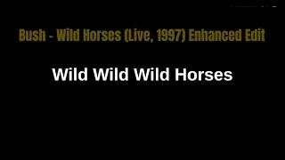 Bush Wild Horses (Live, 1997) Enhanced Edit with Lyrics