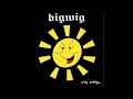 Bigwig - Falling Down 4K HD
